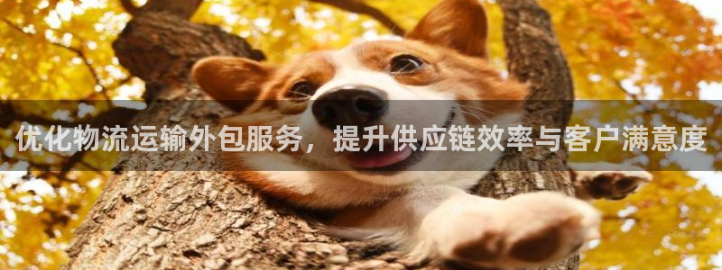 jdb电子哪个游戏容易爆大奖