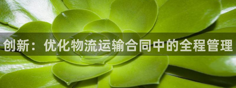 jdb电子哪里可以试玩