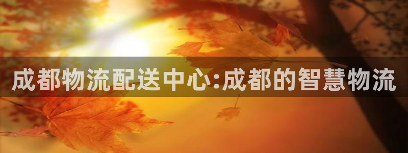 jdb客户端