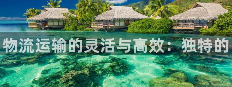 jdb电子游戏平台网站