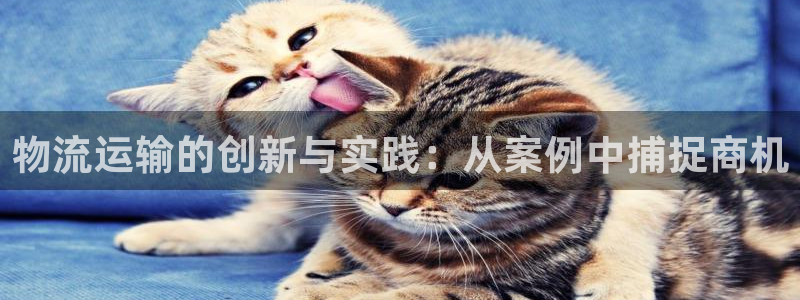夺宝jdb电子变脸