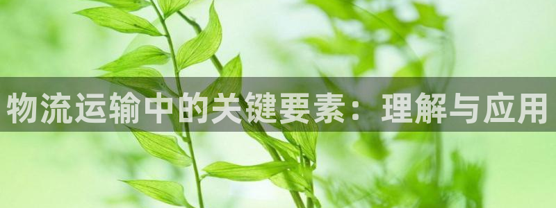 jdb变脸怎么算倍数