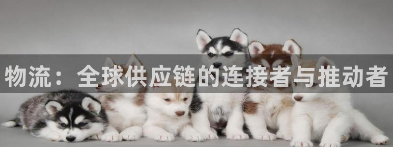 jdb 试玩