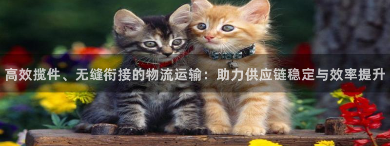 jdb电子王牌特工大奖视频