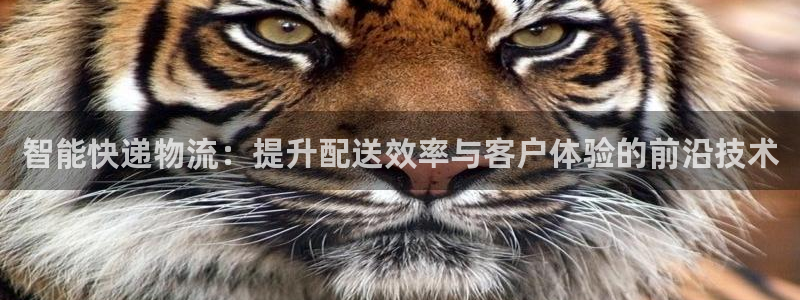 jdb电子游戏网址大全