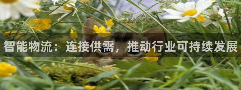 jdb电子游戏麻将无双