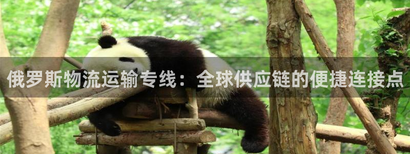 jdb电子试玩链接